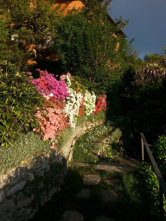 Villa Casa Vacanze Le Violette Brunate Exterior foto